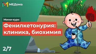 Фенилкетонурия / USMLE step 1 2/7 | Медома