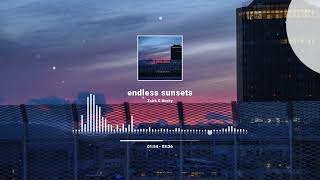 ZSIRK x BUCKY - endless sunsets