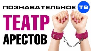 ТЕАТР АРЕСТОВ. Политическое шоу власти и оппозиции (Познавательное ТВ, Артём Войтенков)