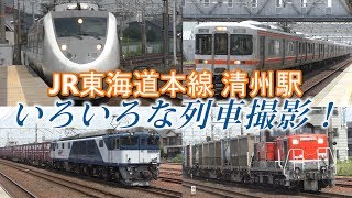 【JR東海道本線】清州駅でいろいろな列車撮影！