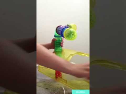 How To Clean A Gerbil Cage