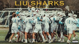 LIU Sharks Men