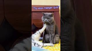 Nous les gars, on comprend pas toujours bien les jeux de mots