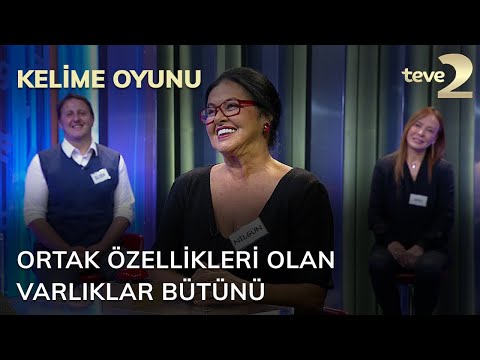 Kelime Oyunu: Ortak özellikleri olan varlıklar bütünü