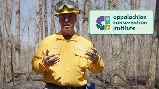 11 Acres Burned in Little Sequatchie Cove | Prescribed Fire for Fuel Reduction and Land Restoration