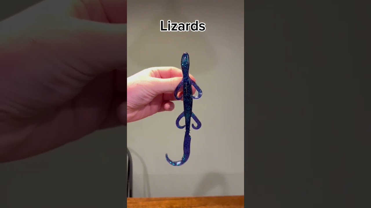 Best baits for bass in the fall🐟 