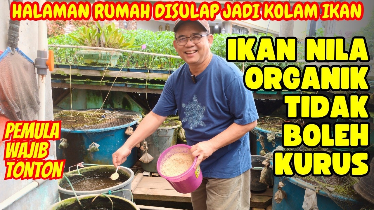 APAKAH IKAN NILA ORGANIK BISA GEMUK HANYA DIKASIH DEDAUNAN SEPERTI AZOLLA, LEMNA, PEPAYA JEPANG?