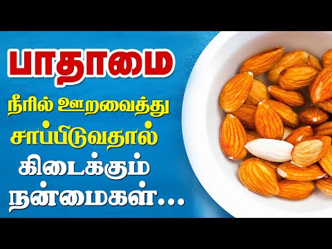 நீரில் ஊரவைத்த பாதாம் சாப்பிட நன்மைகள் / Top 10 Health Benefits Of Soaked Almonds (Badam) Tamil