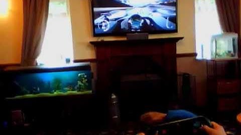 Logitech G27 working with adapter on Xbox 360