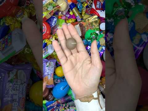 القطه المشمشيه حلوه بس شفيه