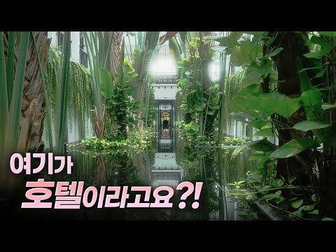 사람들이 잘 모르는 숨은 보석 같은 태국 방콕 호텔💎