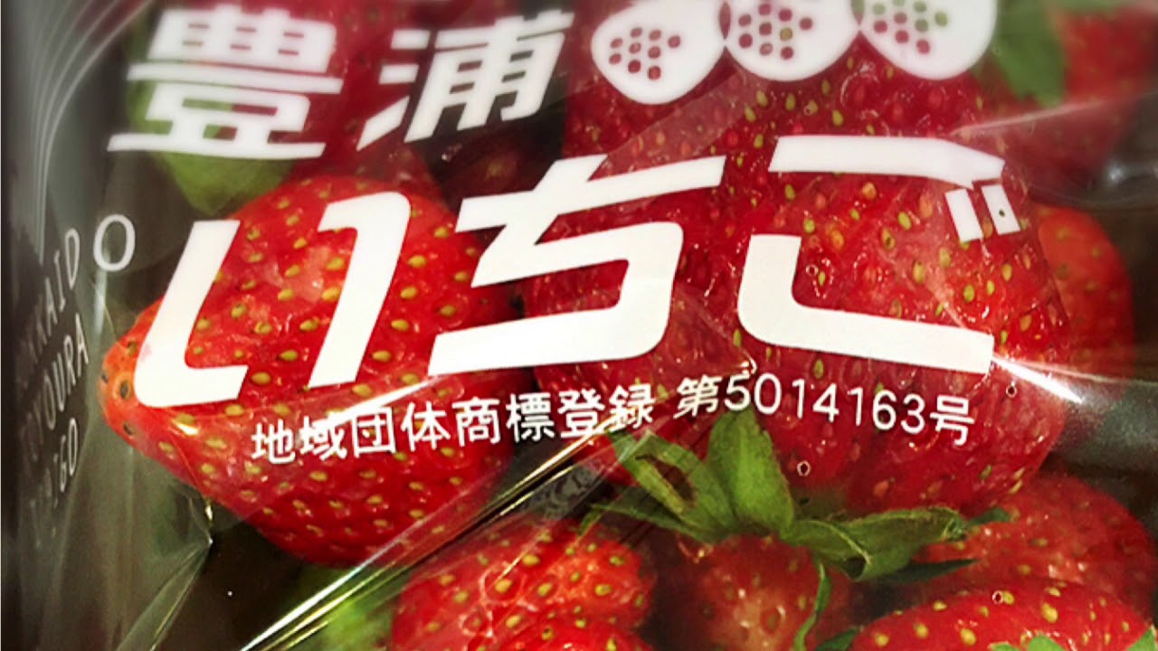 北海道豊浦町のいちごたち Youtube