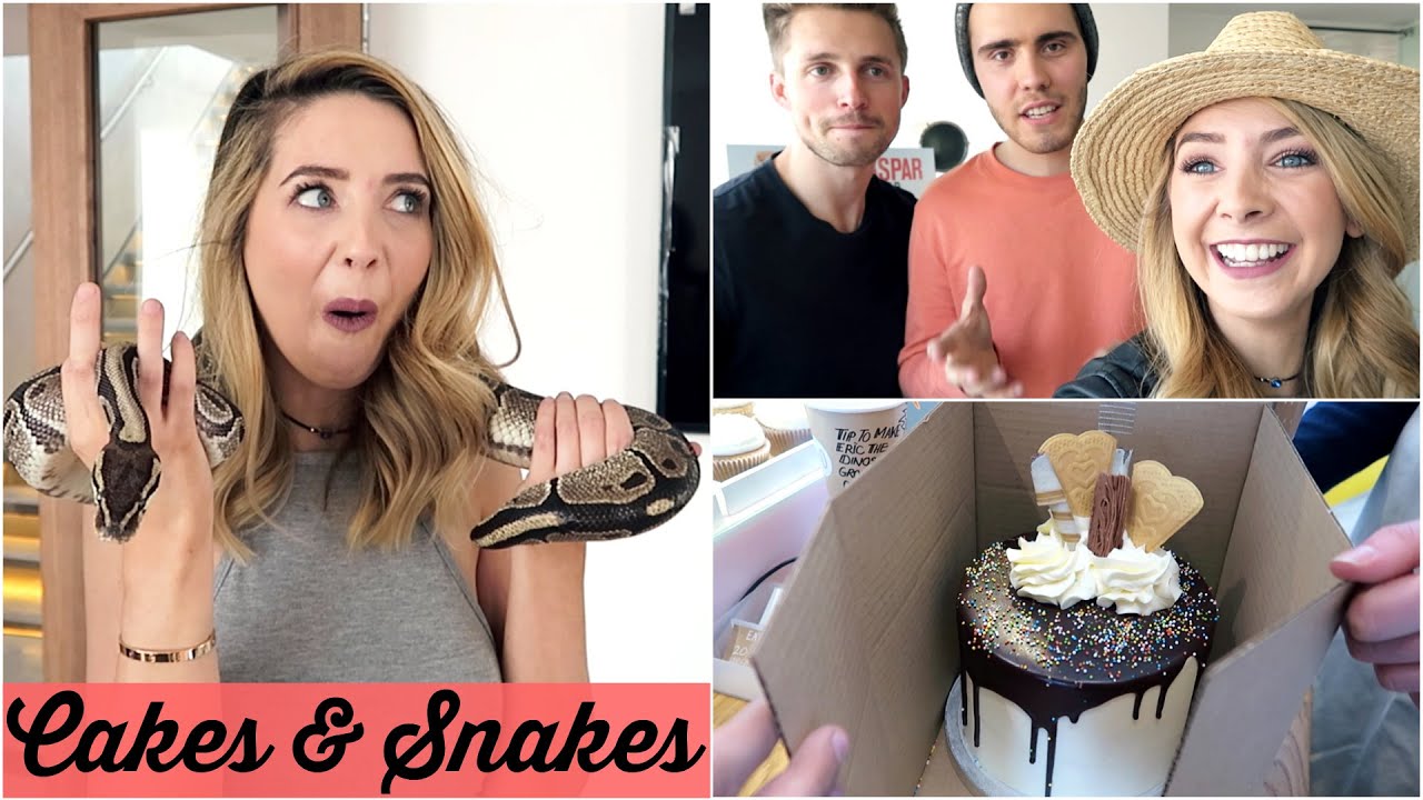 CAKES AND SNAKES