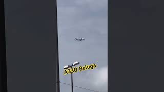 A330 Beluga cargo Airbus #shorts #aviation #airplane #avião #aeroporto #airport #a330 #airbus