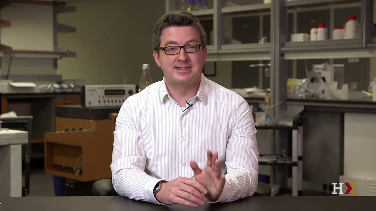 Nonsynaptic Plasticity #44