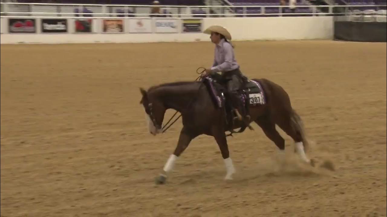All Star Reining Stakes NP Developing Futurity 72623 Karie Tucker on