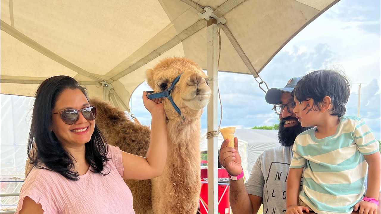 Strawberry festival at red cedar farm. Camel was not happy :(