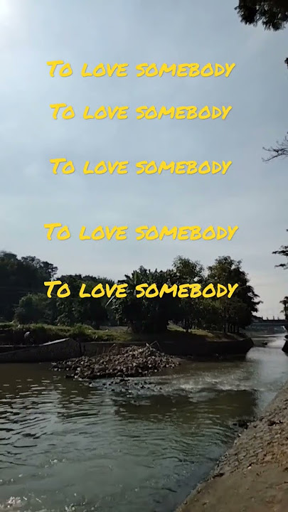 To love somebody - Michael Bolton #shorts#nostalgia#golden  #memories@Radiojaddoels