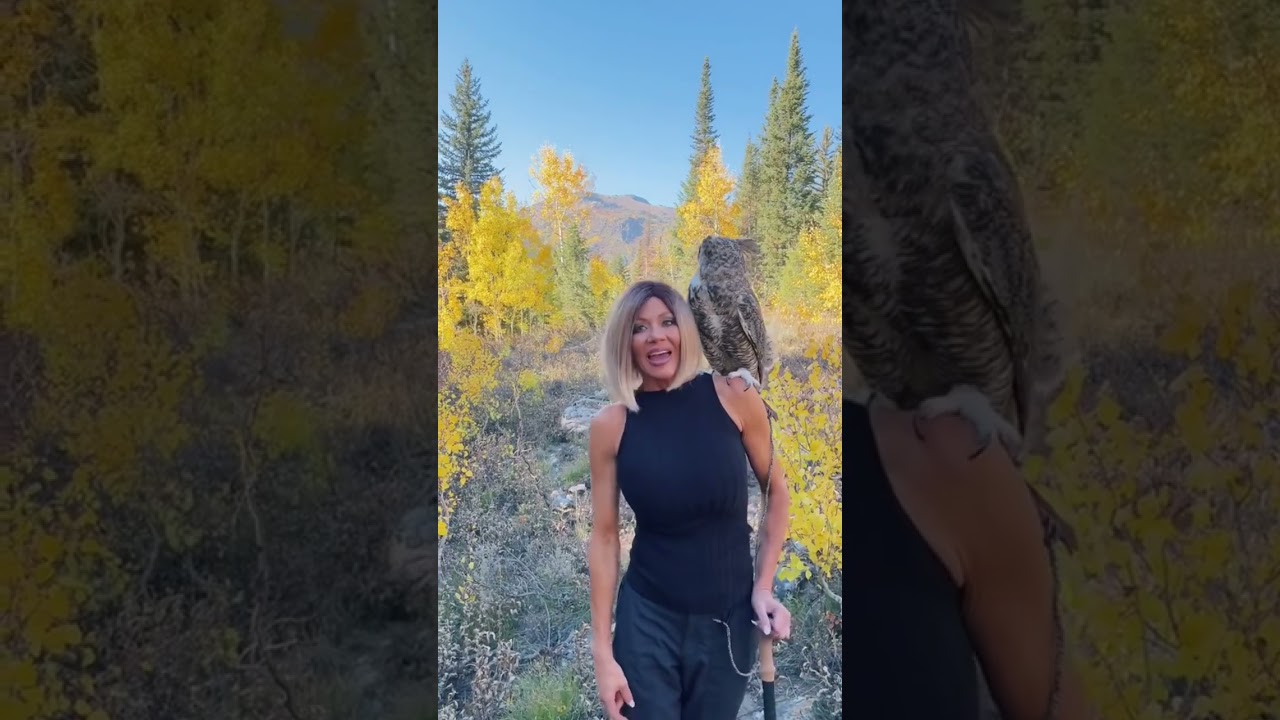 Owl vs Eagle Vision. Who’s is better? 