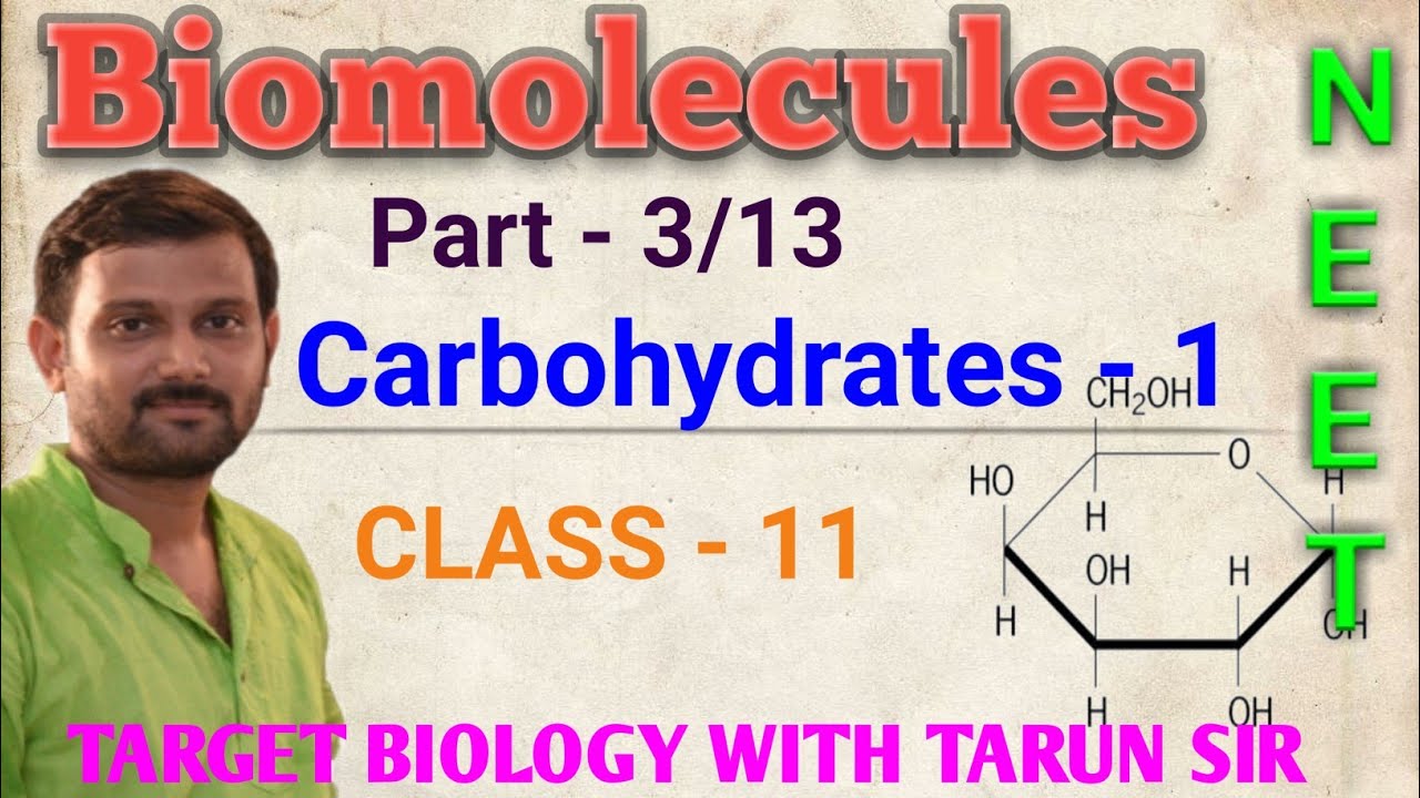 Carbohydrates 1 Biomolecules Part 3 13 UNIT III CLASS 11 Carbohydrates 1 biomolecules part 3 13 unit iii class 11