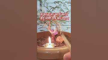 रूका हुआ कार्य करने के लिए शमी पत्र का उपाय पंडित प्रदिप मिश्रा जी ने बताया #shorts #video