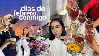 1 semana en mi vida | san valentín, trabajo y recetas fáciles