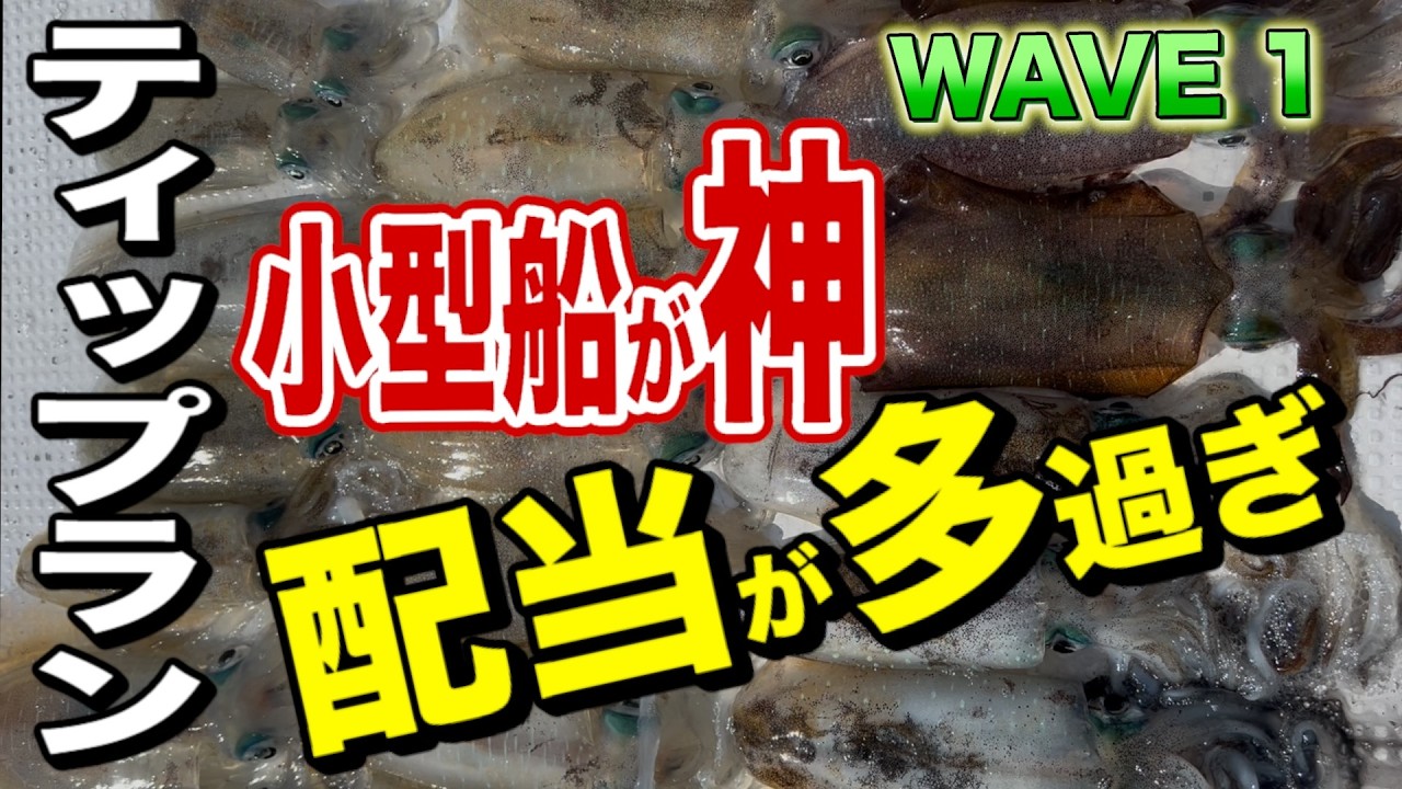 【ティップランエギング】⭕️⭕️船の越前WAVE１でティップランが爆釣した理由