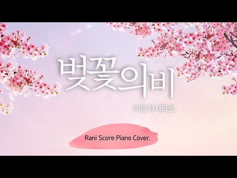 벚꽃의 비 (다장조) - 이토 카시타로