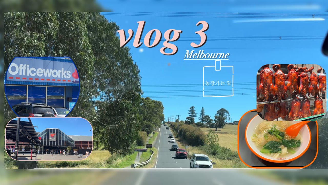 호주 생땅 개척기🔨 첫 작업으로 게이트 보수하고 박스힐 나들이 | 🇦🇺멜번 브이로그