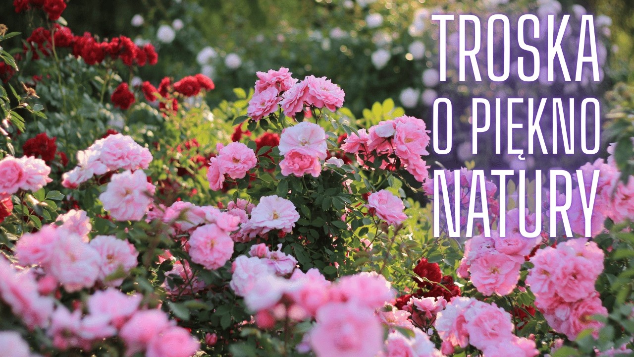 Troska człowieka o piękno Boskiej natury...