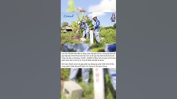 ☄️☄️☄️ 𝐇𝐀̣ 𝐓𝐀̂̀𝐍𝐆 𝐓𝐏. 𝐇𝐎̂̀ 𝐂𝐇𝐈́ 𝐌𝐈𝐍𝐇 𝐓𝐇𝐈 𝐂𝐎̂𝐍𝐆 𝐇𝐀̀𝐍𝐆 𝐋𝐎𝐀̣𝐓 𝐃𝐔̛̣ 𝐀́𝐍 𝐆𝐈𝐀𝐎 𝐓𝐇𝐎̂𝐍𝐆 𝐊𝐇𝐔̉𝐍𝐆?