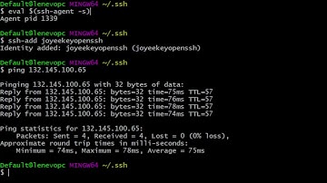 Connecting Remote Server from Gitbash (Windows)