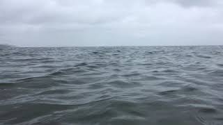 Cornwallis Beach