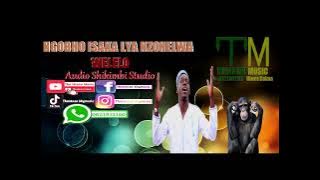 Ngobho Isaka Lya Nzonelwa Welelo  Audio by the ntuzu music
