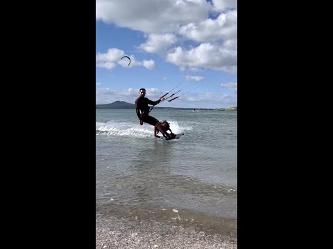 My Kitesurfing dog
