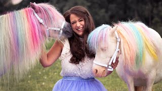 Regenbogen Einhorn verdoppelt!