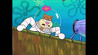 "No, You Ain't." - Sandy Cheeks
