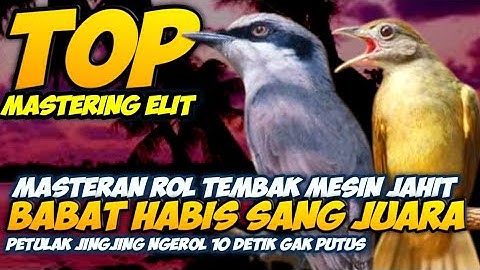 MASTERAN TOP ELIT PETULAK JINGJING VS KAPAS TEMBAK || KAPAS TEMBAK SAMBUNG PETULAK JINGJING