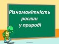 Разнообразие растений в природе Різноманітність рослин у природі