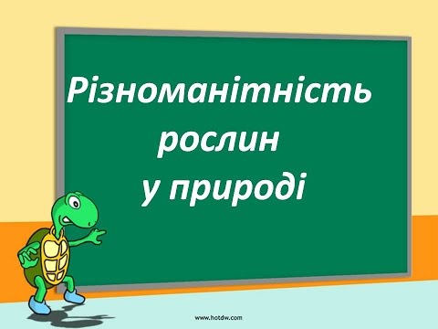 Разнообразие растений в природе Різноманітність рослин у природі