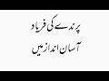 علامہ اقبال رحمتہ اللہ علیہ پرندے کی فریاد آسان انداز میں