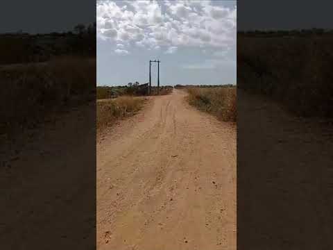 Falta de transporte escolar deixa crianças da zona rural de Dueré sem aulas e preocupa moradores