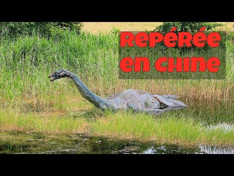 Vidéo: Nouvelle Preuve: Le Monstre Du Loch Ness Existe-t-il Toujours? - Vue Alternative