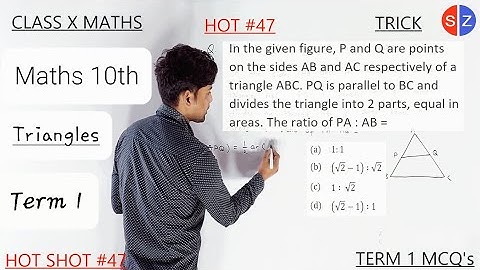 in the given figure P and Q are points on the sides AB and AC  @MathsTransporter @chamkamath6066