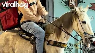 Save on Gas, Ride a Horse || ViralHog @viralhog