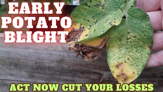 Early Potato Blight Gardening Allotment Uk Grow Vegetables At Home