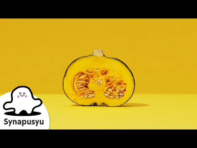 ぷしゅ❤️ 国際版/International】Do-te! | Synapusyu Official - YouTube