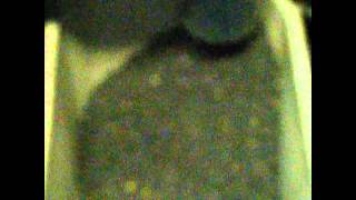PegasusOilSunflowers.wmv