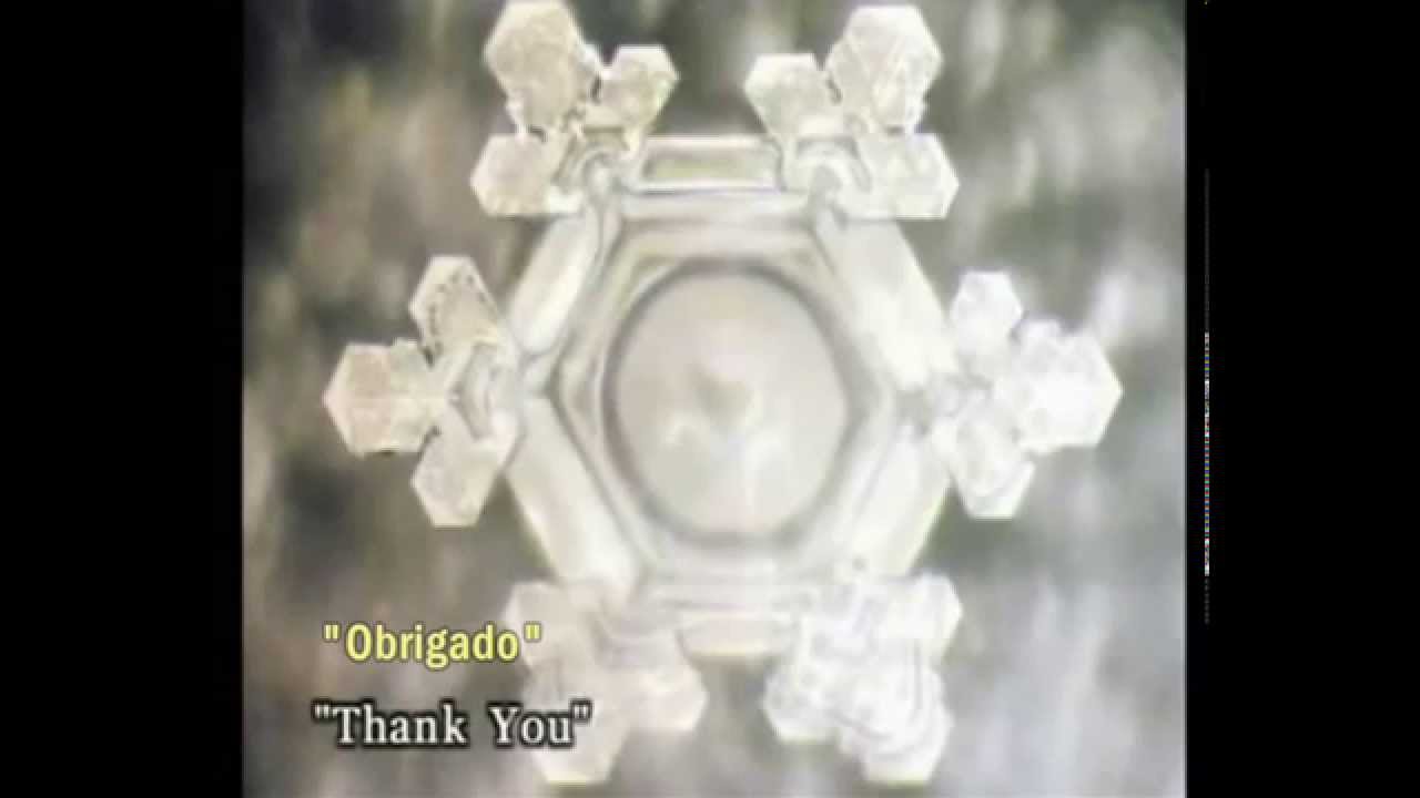 Dr. Masaru Emoto | A Mensagem da Água