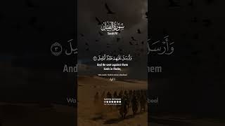 Soothing Quran Recitation of Surah Al-Fil | Peaceful & Heart-Touching